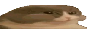 CatNum emote