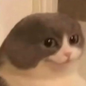 melvin emote