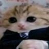 iD1ssBa11ance emote