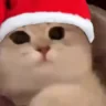 :3 emote