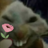 xddFlower emote