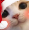 UWU emote