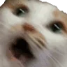 AAAA emote