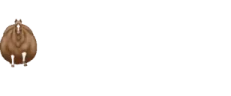 horsingFast emote