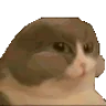 CatMunch emote