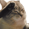 o7 emote