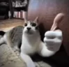 okok emote
