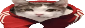 catWalk emote