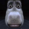 Donkey emote