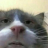 karasmai emote