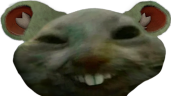 chomiK emote