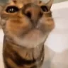 Drink emote