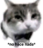 noHaceNada emote