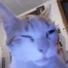 fadedthanahoe emote