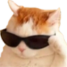 Cool emote
