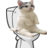mecago emote