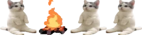 catsittingverycomfortablearoundacampfirewithitsfriends emote