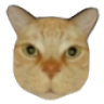 !noob5 emote