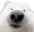 LICKA