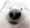 LICKA emote