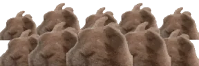 VIBEPARTY emote