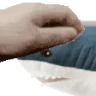 PETTHEBLAHAJ emote