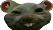 chomik emote