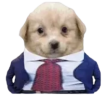Business emote