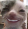 xde emote