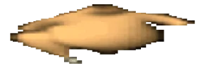 wideKurica emote