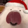 LICKA emote