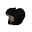 catSpin