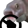 FishSTEER emote