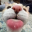 blep