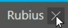 ThisChat emote