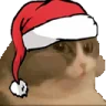 CatNum emote