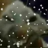 xddsnow emote