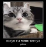 PeepoPing emote