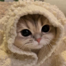 comfyKitty emote