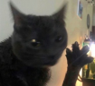 4DABLOONS emote