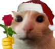 catRose emote