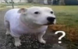 huhhh emote
