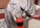 Friday emote