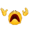 NOOOO emote