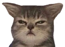 gumpy emote