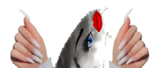 JoelYass emote