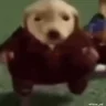 dogWalk emote