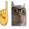 catNerd emote