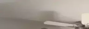 WidecatPUNCH emote