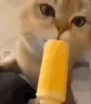 IceCream emote